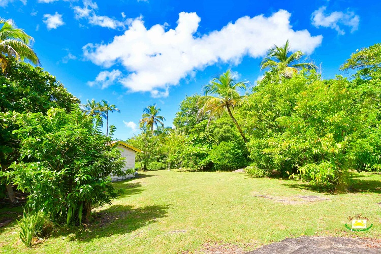 Autre point de vu du Petit Ilet. Paysage verdoyant avec quelques hauts cocotiers, d'autres arbres fruitiers et un ciel bleu.